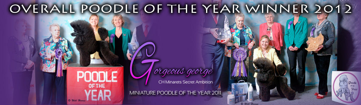 georgepoty
